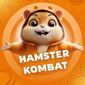 Комбо-карточки Hamster Kombat на 18-19 июня